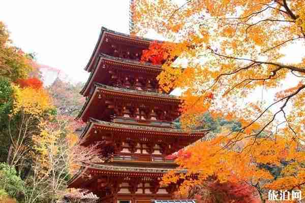 去日本旅游必去的景点