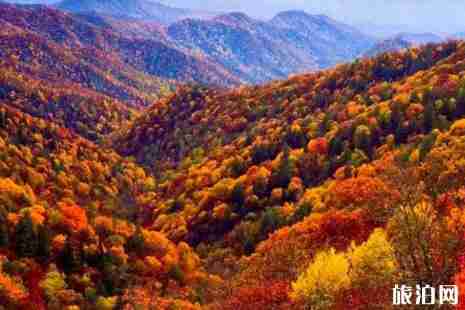 悉尼的秋天在幾月 悉尼秋天攻略