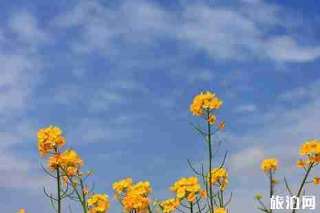 青甘大環線六日游攻略