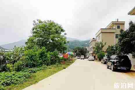 钦州五皇山樱桃采摘 价格+交通