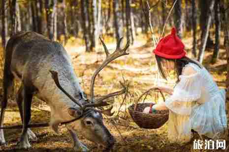 五一去呼伦贝尔大草原怎么样