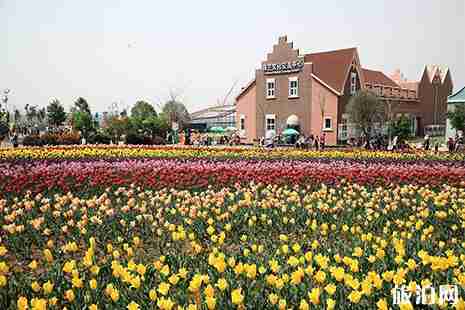 2019洛阳豪泽郁金香花海芍药花季4月26日开启