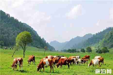 2019宝鸡关山草原景区4月28日活动信息