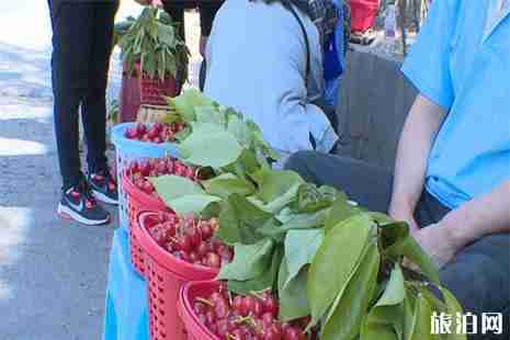 六盘水落别樱桃采摘园在哪