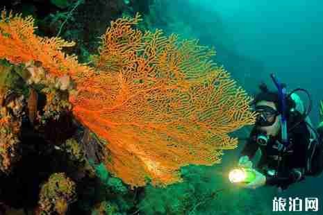 泰国潜水多少钱 泰国游艇多少钱