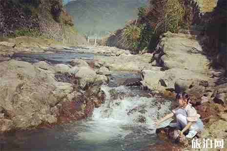 大洋大洋镇贺宅村樱桃采摘攻略 地点+交通+费用