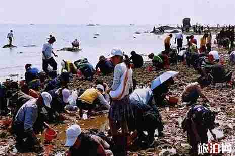 五一青岛景区优惠活动+门票优惠信息