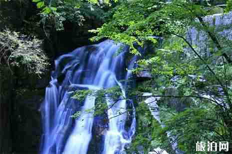 木王森林公园门票价格 附五一优惠活动