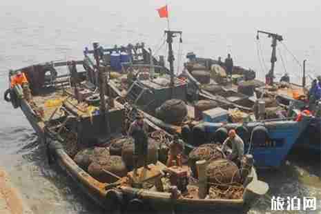 2019红岛蛤蜊节赶海时间