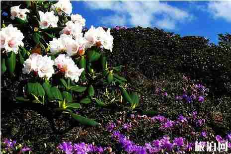 昆明周边两天旅游攻略