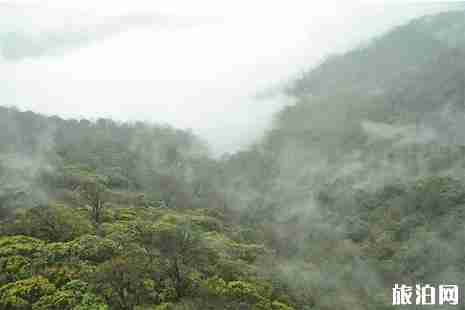 2019五一梵凈山自助游攻略