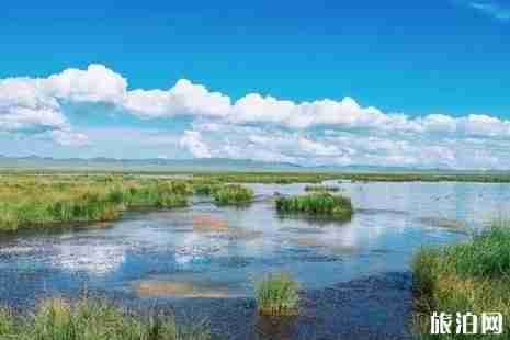 成都3天2晚自由行攻略