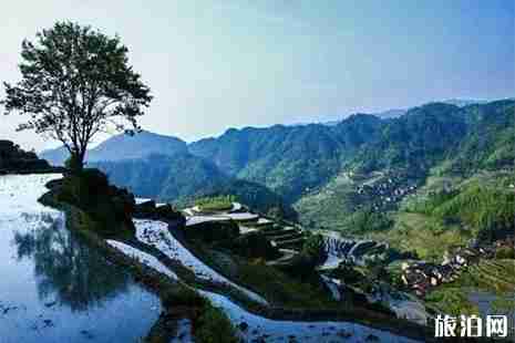 福建梯田哪里最好