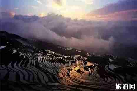 茗岙梯田什么時候去最好