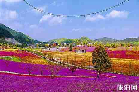 義烏后宅花間樂園門票信息 附芝櫻花花期