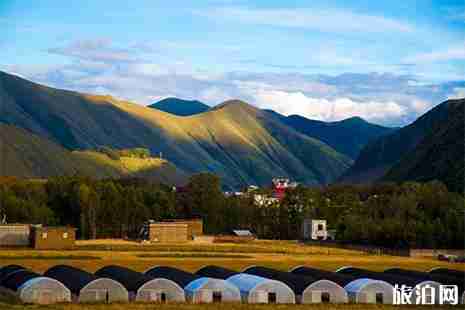 成都到新都桥自驾花费得多少钱