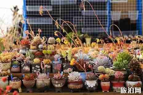 威海网红景点推荐