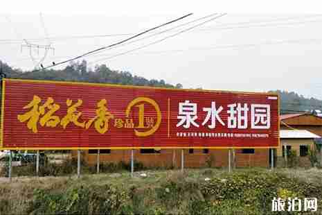 宜昌桑葚采摘园在哪里