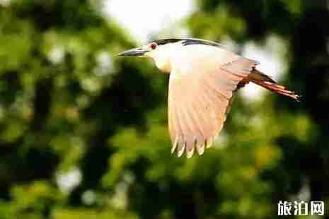 2019六一上海哪里好玩+适合孩子去的博物馆推荐