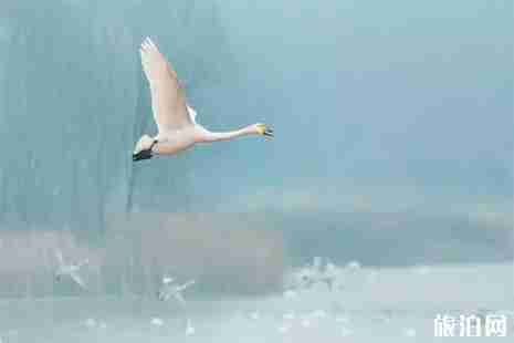 2019河南三门峡三日游玩攻略