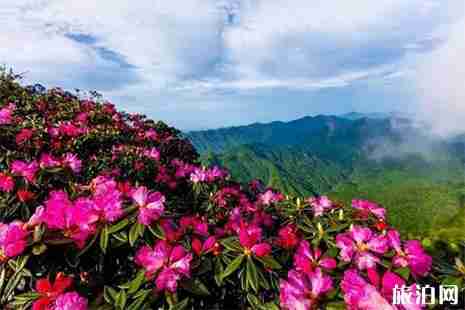 2019年5月19日中国旅游日四川巴中景区优惠信息汇总