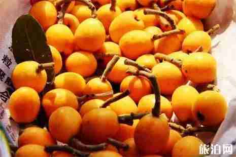 重庆主城枇杷采摘园汇总