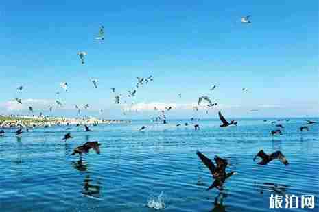 5·19中国旅游日青海海西州景区信息汇总