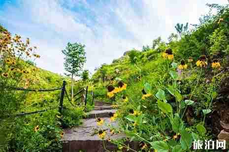 2019中国旅游日万安山七彩大峡谷门票优惠信息