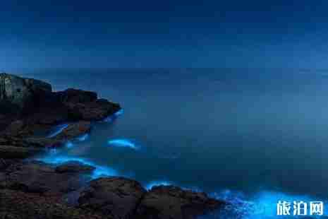 2019平潭蓝眼泪观赏攻略