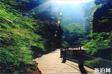 金丝峡大峡谷门票信息