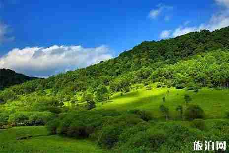 大水川景區門票多少錢