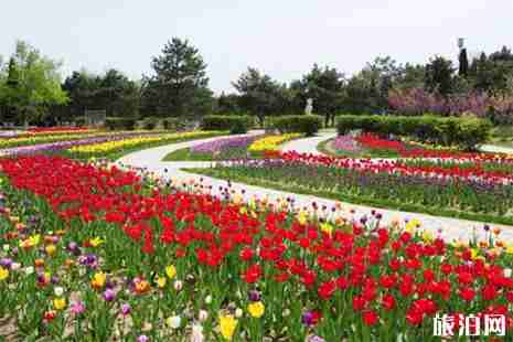 河北石家莊植物園能釣魚嗎 附石家莊植物園賞花攻略