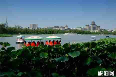 北京莲花池公园收费吗