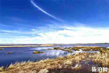 若尔盖草原赏花攻略 几月份去好