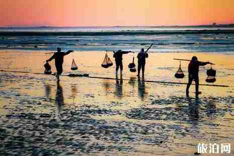 大连哪里可以赶海捉海鲜