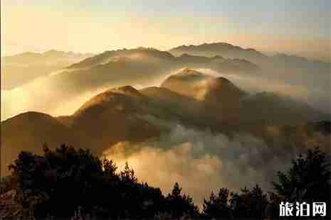 景寧自駕游線路推薦