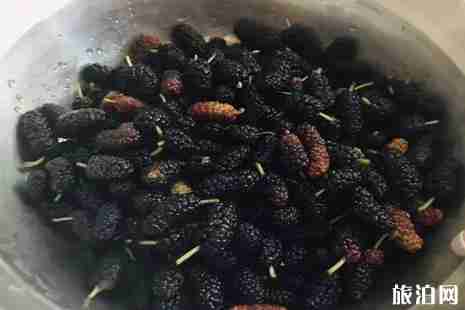 江蘇桑葚什么時(shí)候成熟 江蘇哪里能買到桑葚