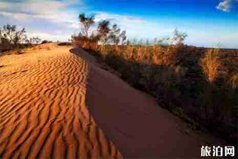 2019六一兒童節石河子駝鈴夢坡景區活動信息