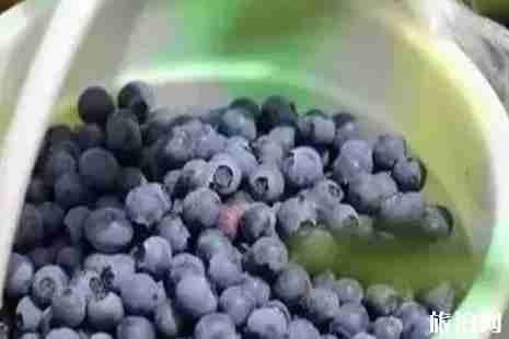 2019重庆蓝莓采摘攻略