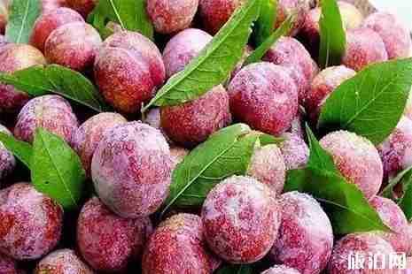 清远水果采摘地图