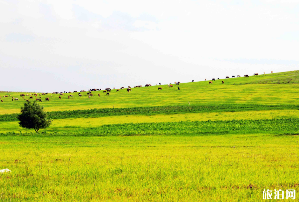 2019高考天气预报+注意事项+避暑指南