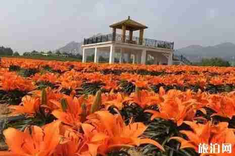 2019年六月嵖岈山门票优惠政策+游玩攻略