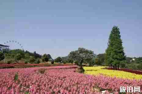 2019年六一武汉地铁免费政策+景区优惠政策