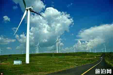 草原天路6月1日开放 附游玩指南