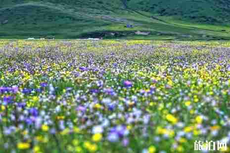 2019年四川六月旅游景点推荐