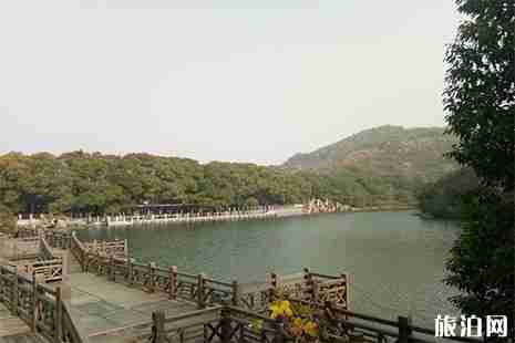 2019白马涧龙池景区茉莉花节6月7日至7月15日