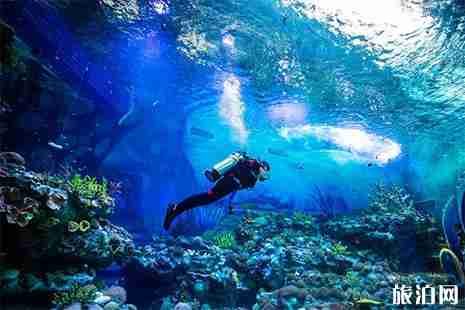 2019上海海昌海洋公園中高考生優惠信息匯總