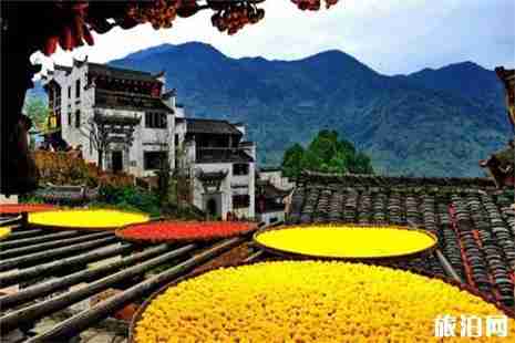 2019中高考準考證婺源篁嶺景區優惠信息