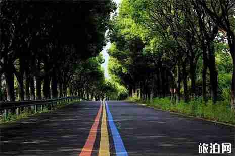 溧陽1號旅游公路游玩路線推薦