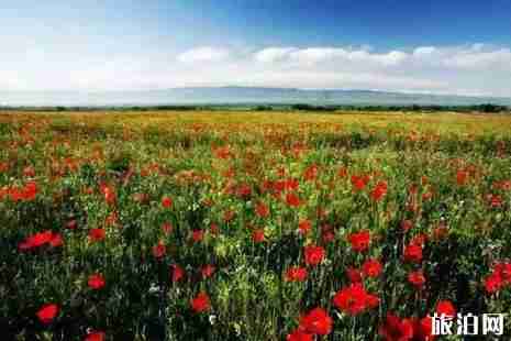 2019夏季新疆旅游景点推荐